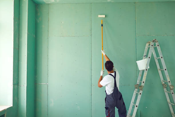 Best Emergency Mold Remediation  in Harristown, IL
