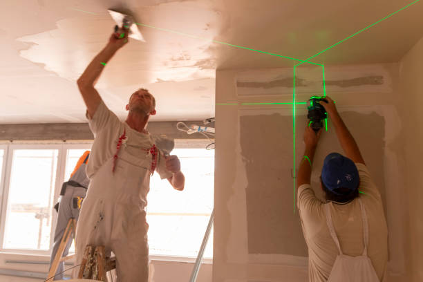 Best Mold Damage Restoration  in Harristown, IL