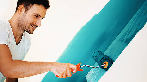 Best Mold Prevention Services  in Harristown, IL